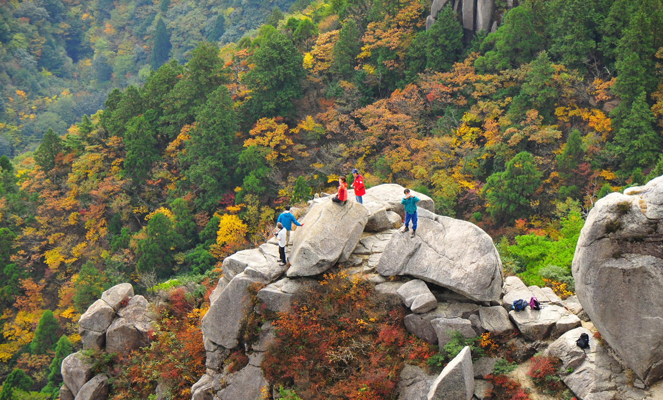 トップページメインビジュアル1