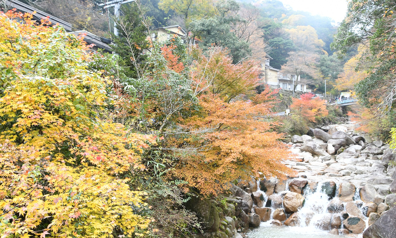 トップページメインビジュアル2