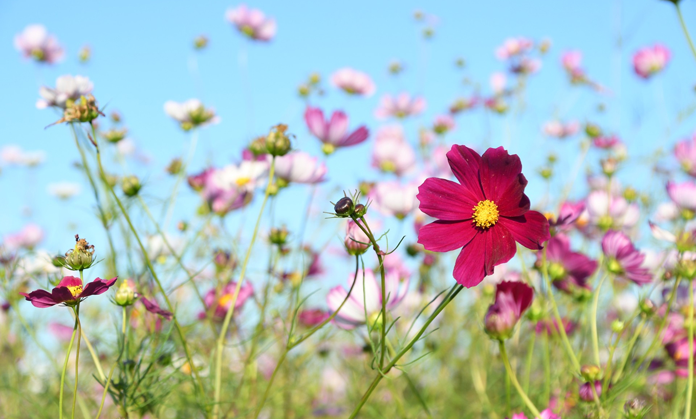 トップページメインビジュアル3