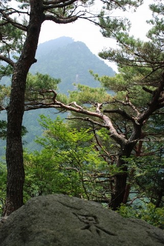 【その他】国見岳・鳥居道山の境界石
