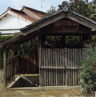 【その他】玉葛水