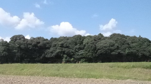 【その他】田光城跡