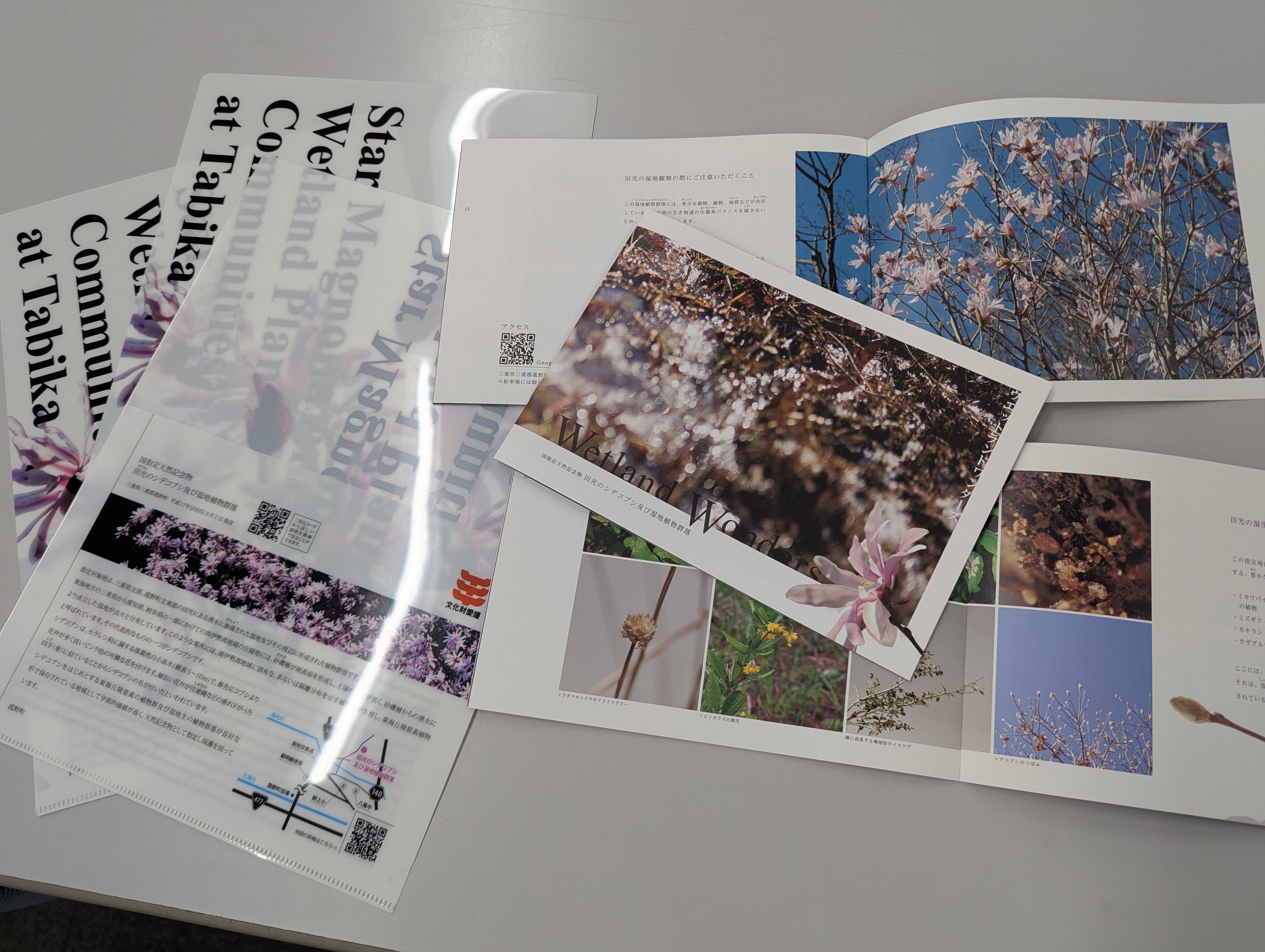 シデコブシリーフレット