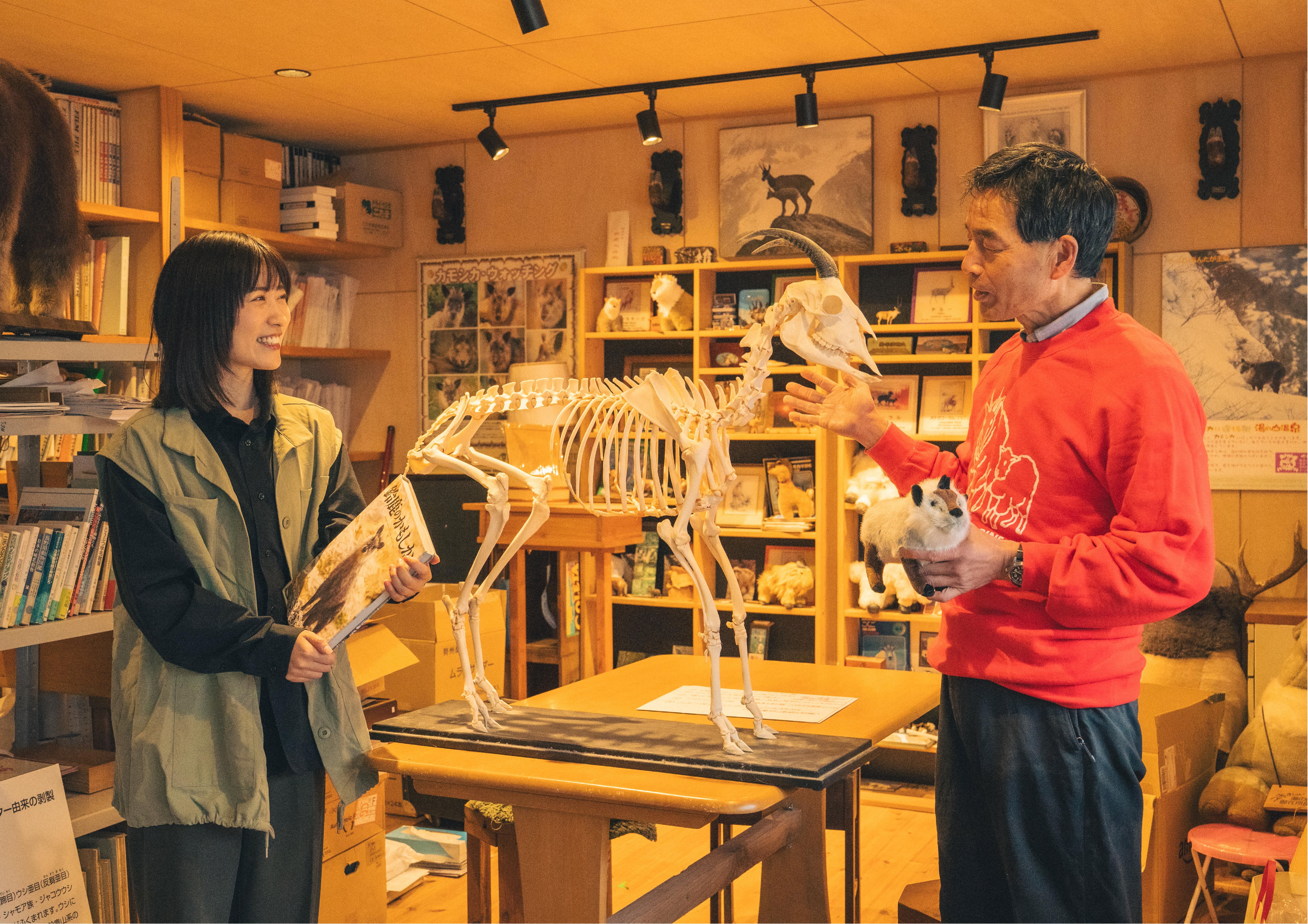 カモシカの画像3