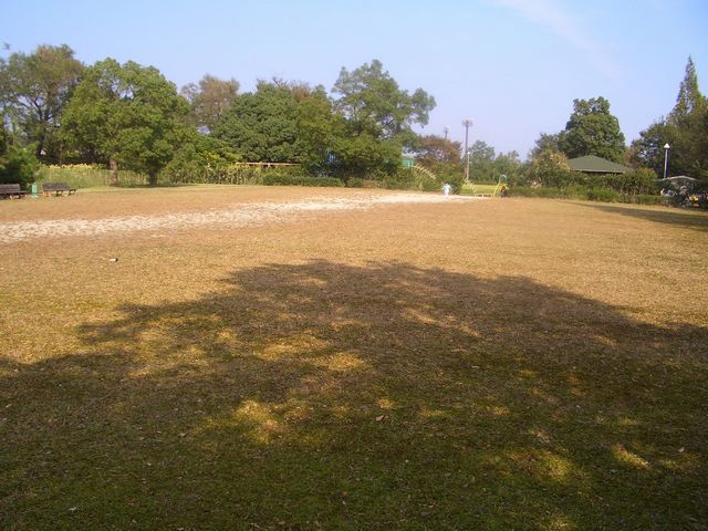 グラウンドゴルフ広場の画像