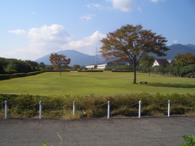 芝生広場の画像