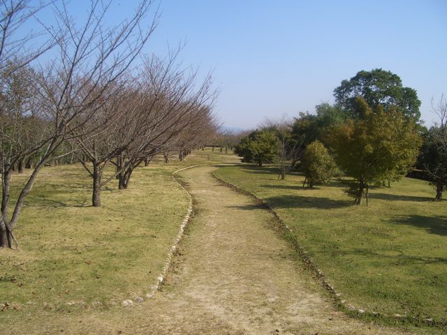 やすらぎ広場の画像