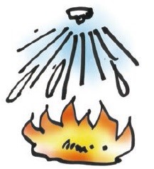 スプリンクラー設備の画像