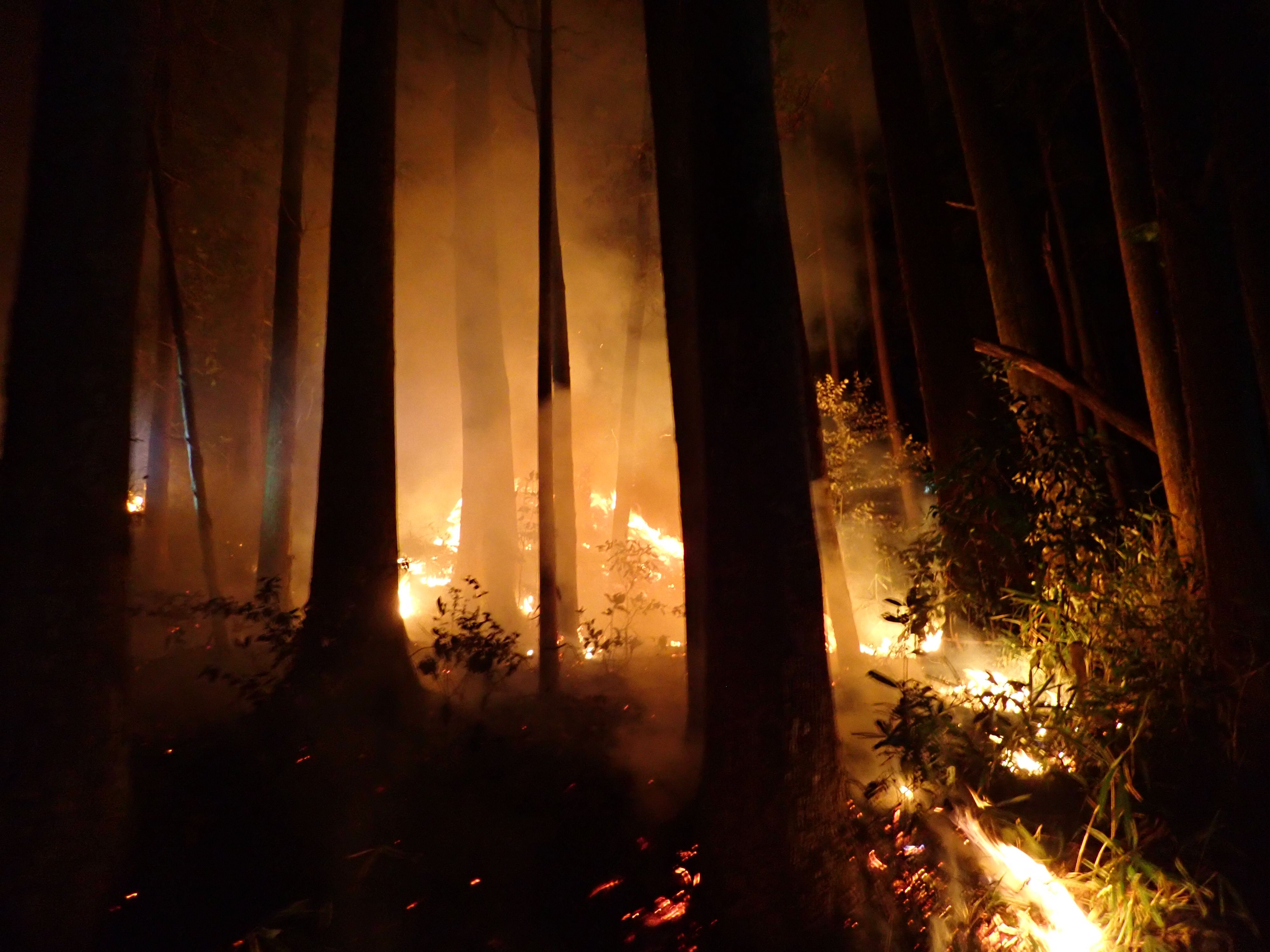 ※菰野町内での実際の写真の画像