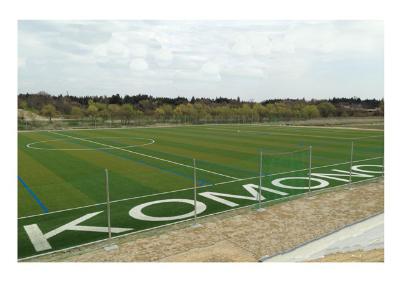 サッカー場の画像