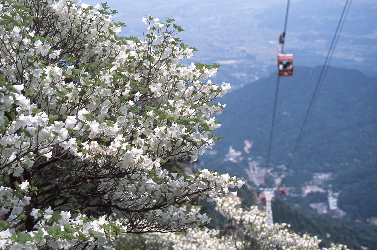 ようこそ菰野町への画像1