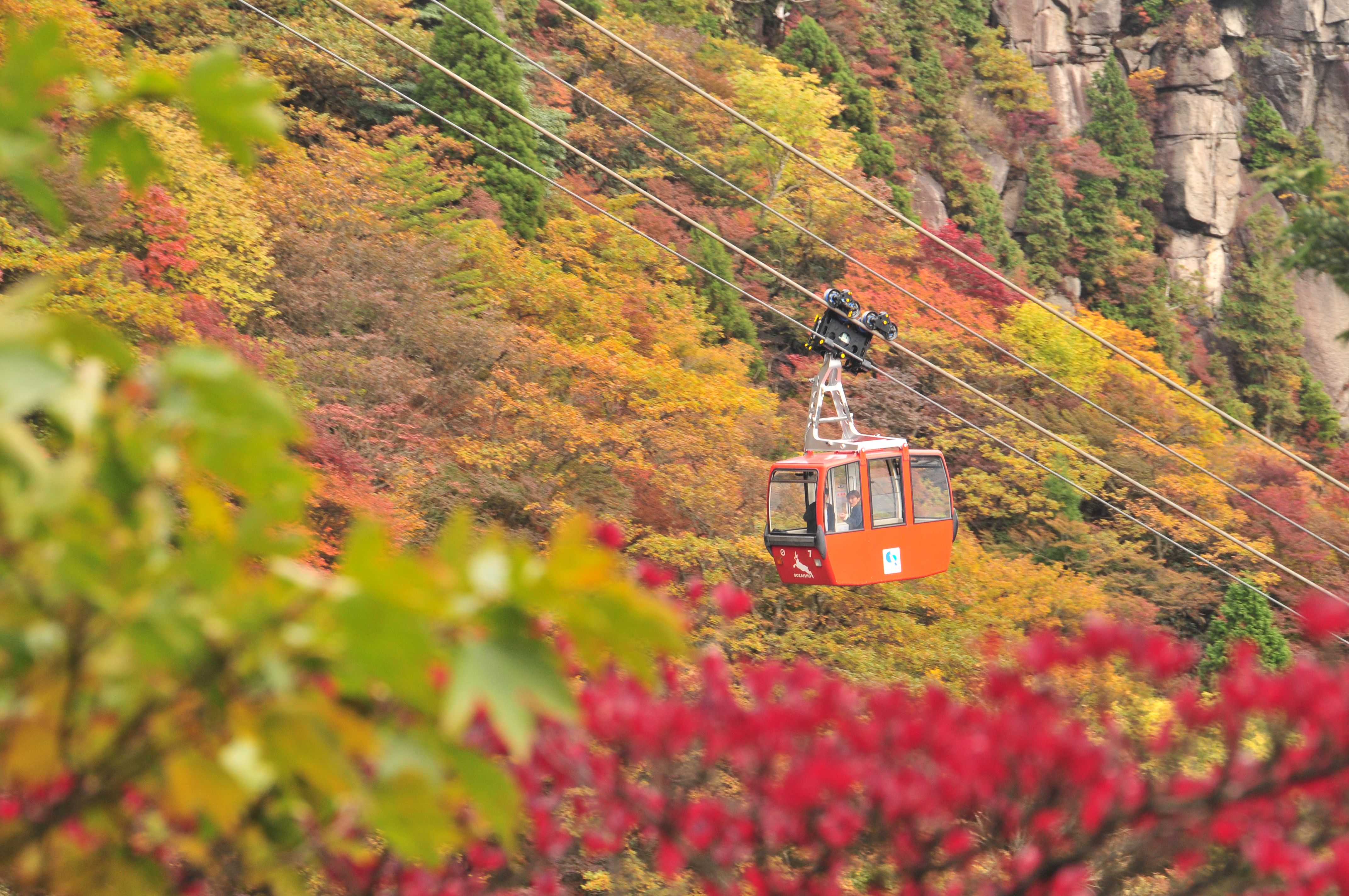 ようこそ菰野町への画像3
