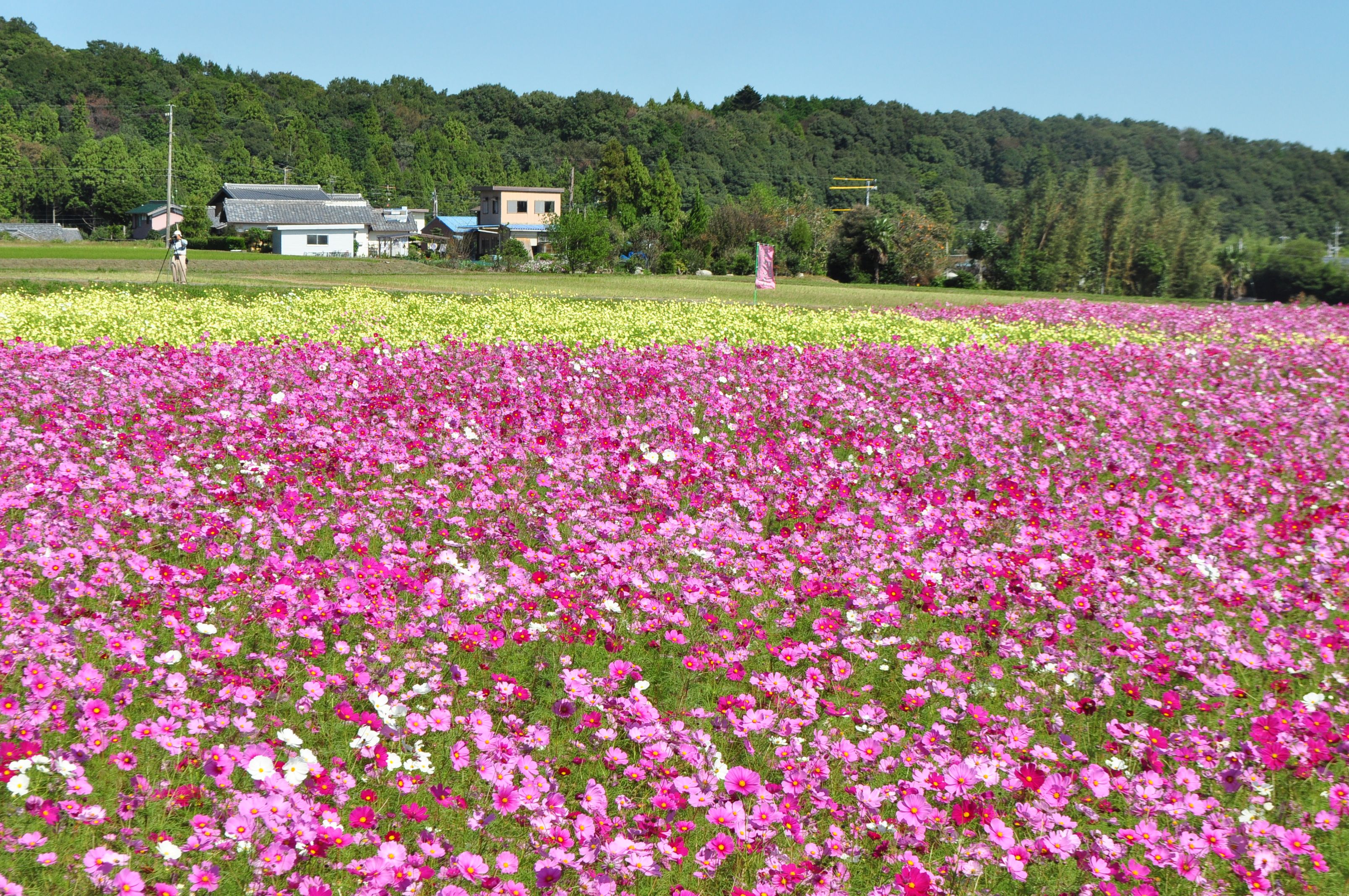 ようこそ菰野町への画像6