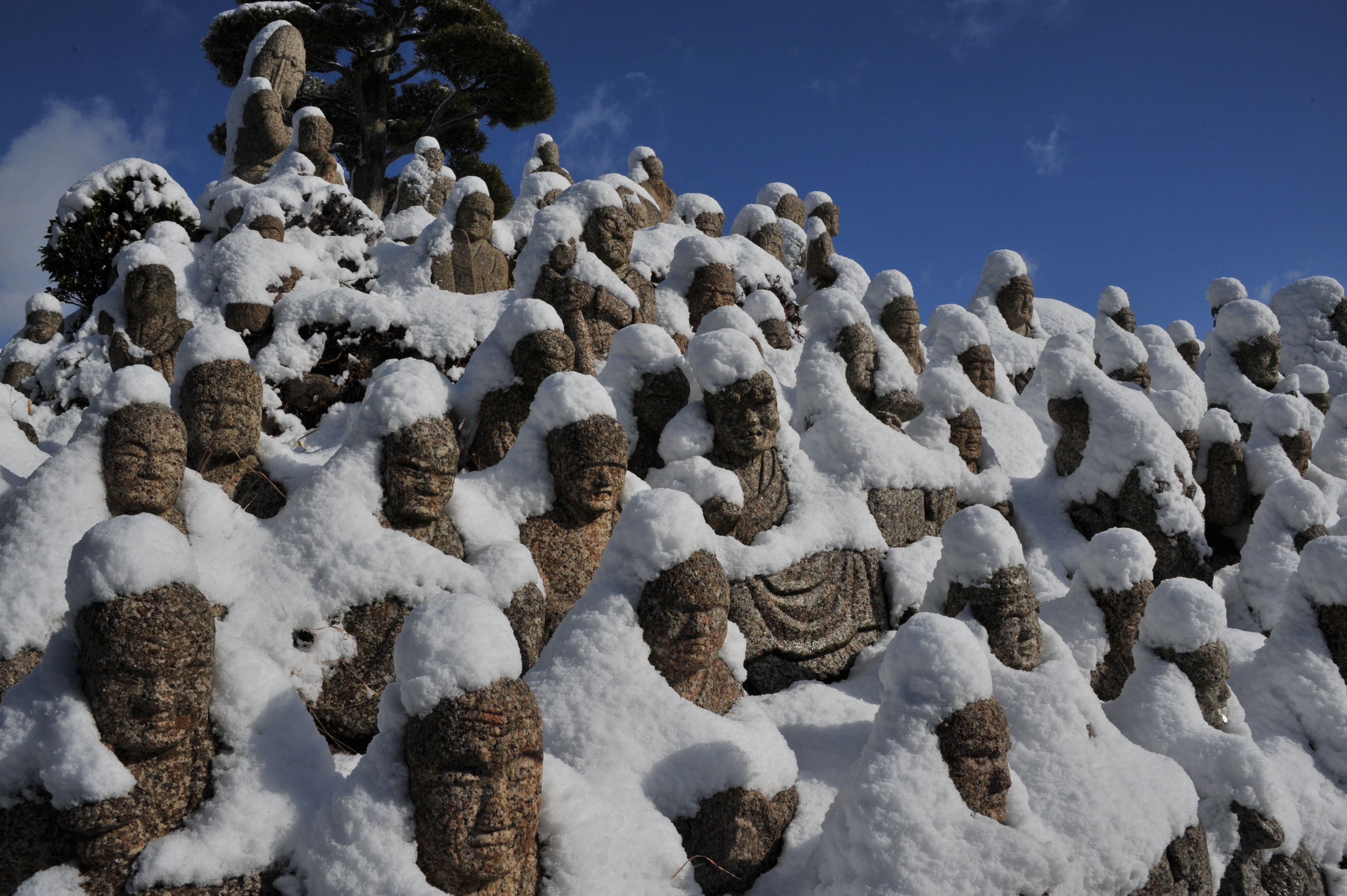 ようこそ菰野町への画像8