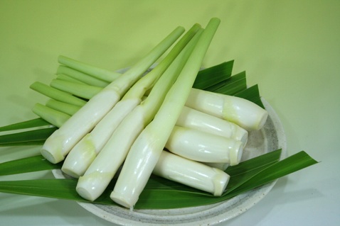 ようこそ菰野町への画像10