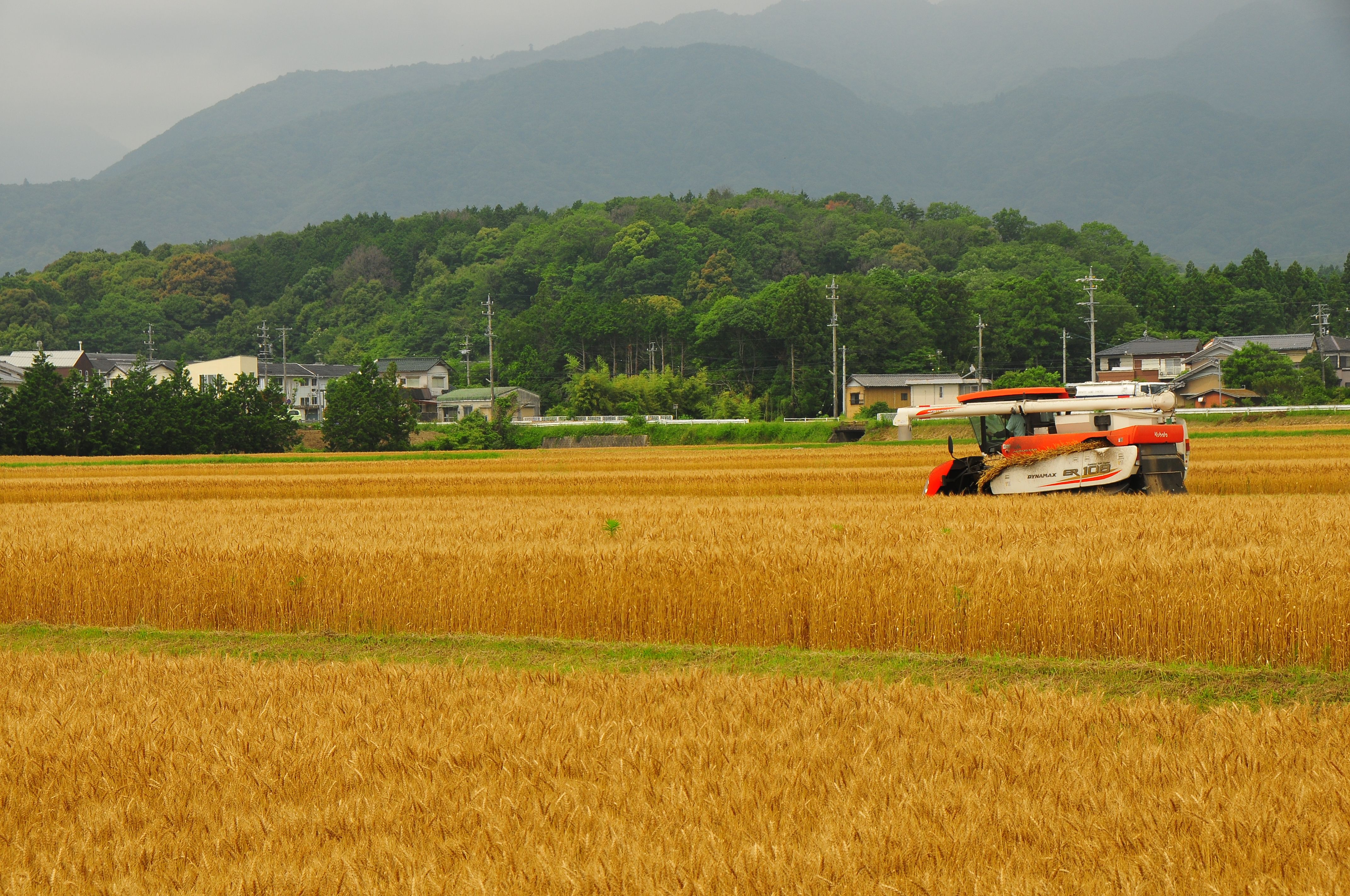 ようこそ菰野町への画像12