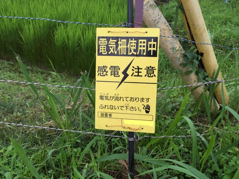 獣害対策用電気柵写真