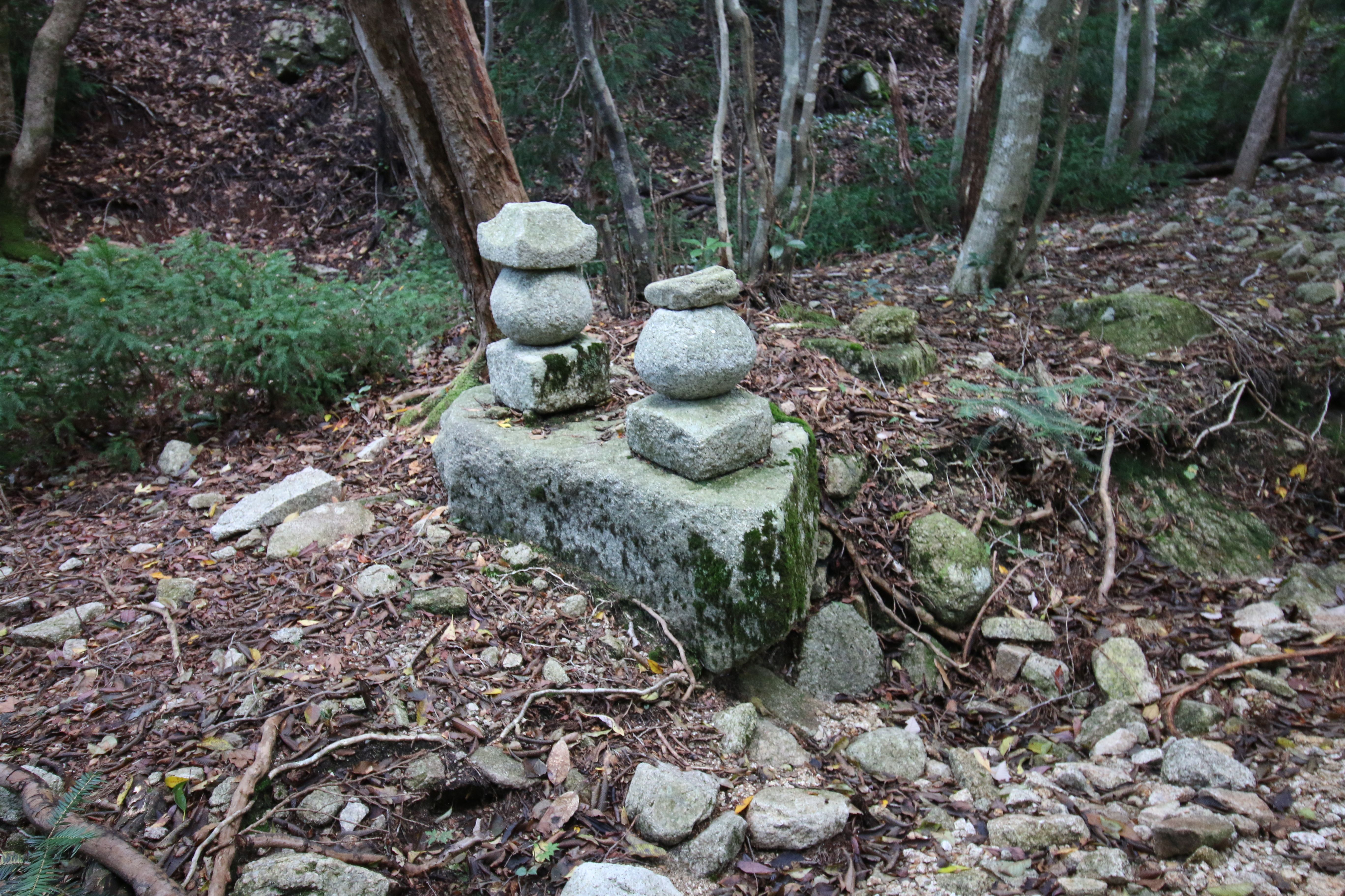 三岳寺廃寺跡（1）