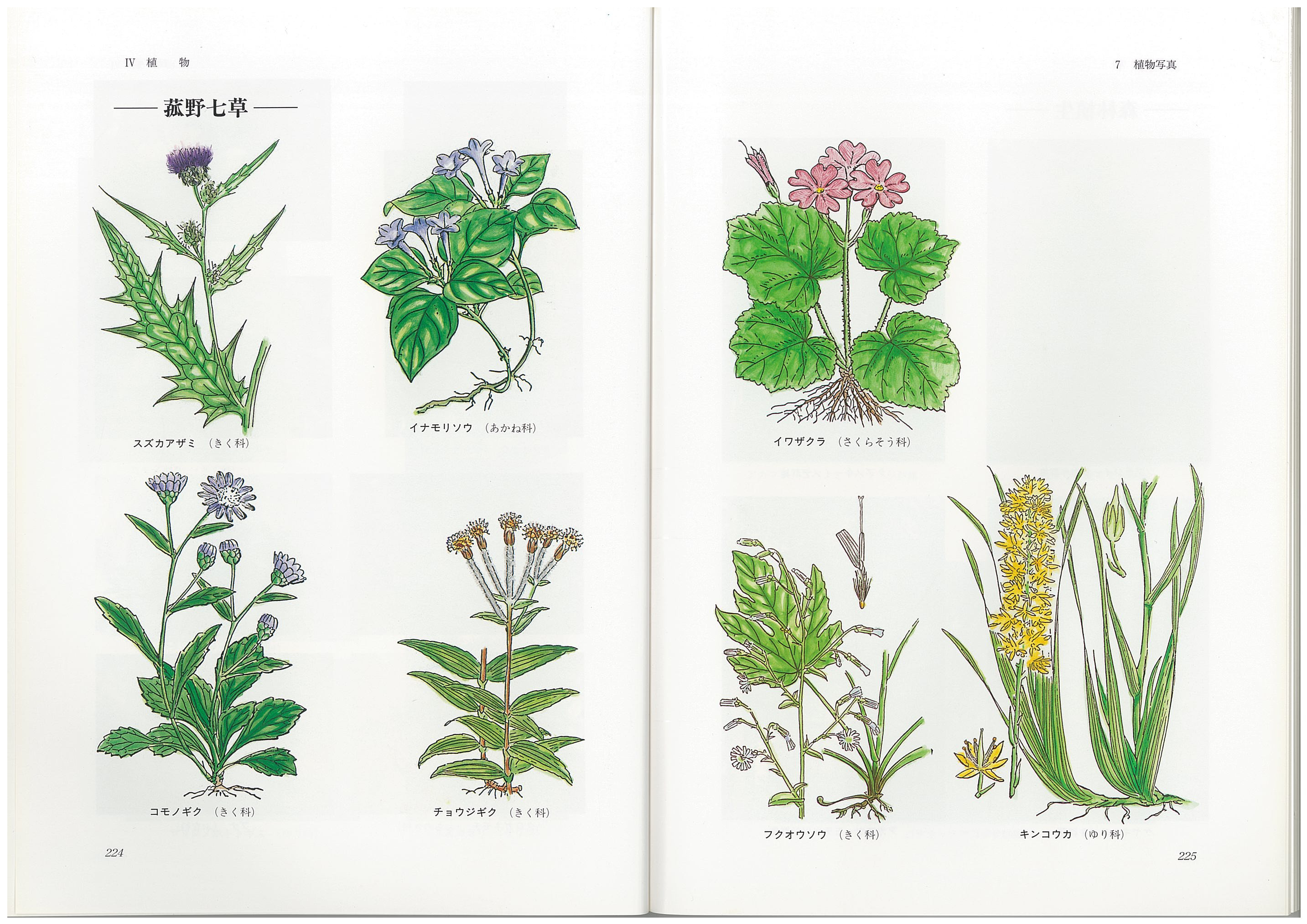 菰野山采薬、采薬品目