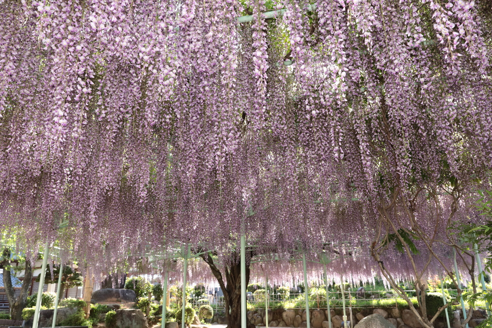 基本目標2の画像