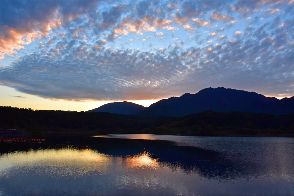 基本目標3の画像