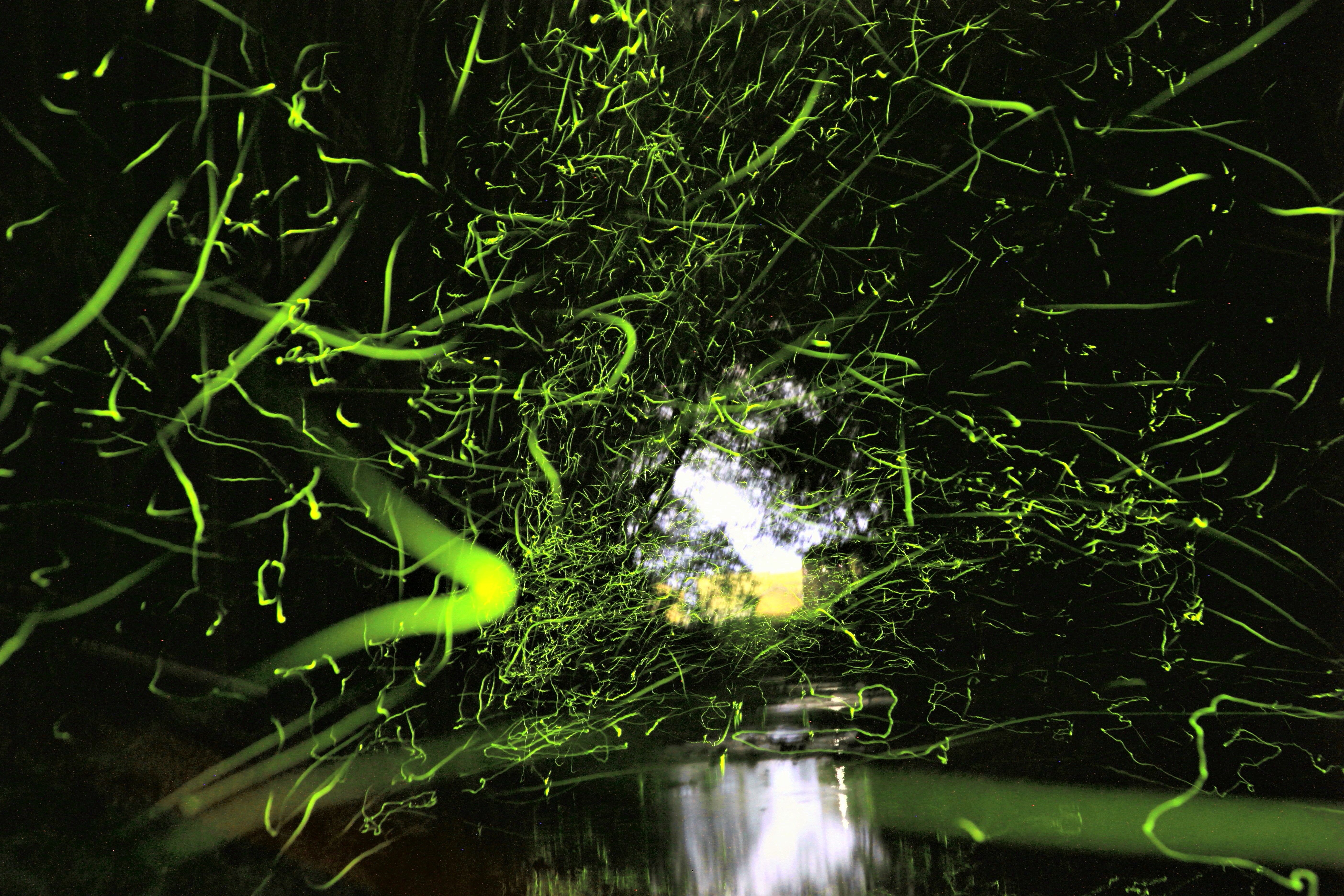 基本目標4の画像