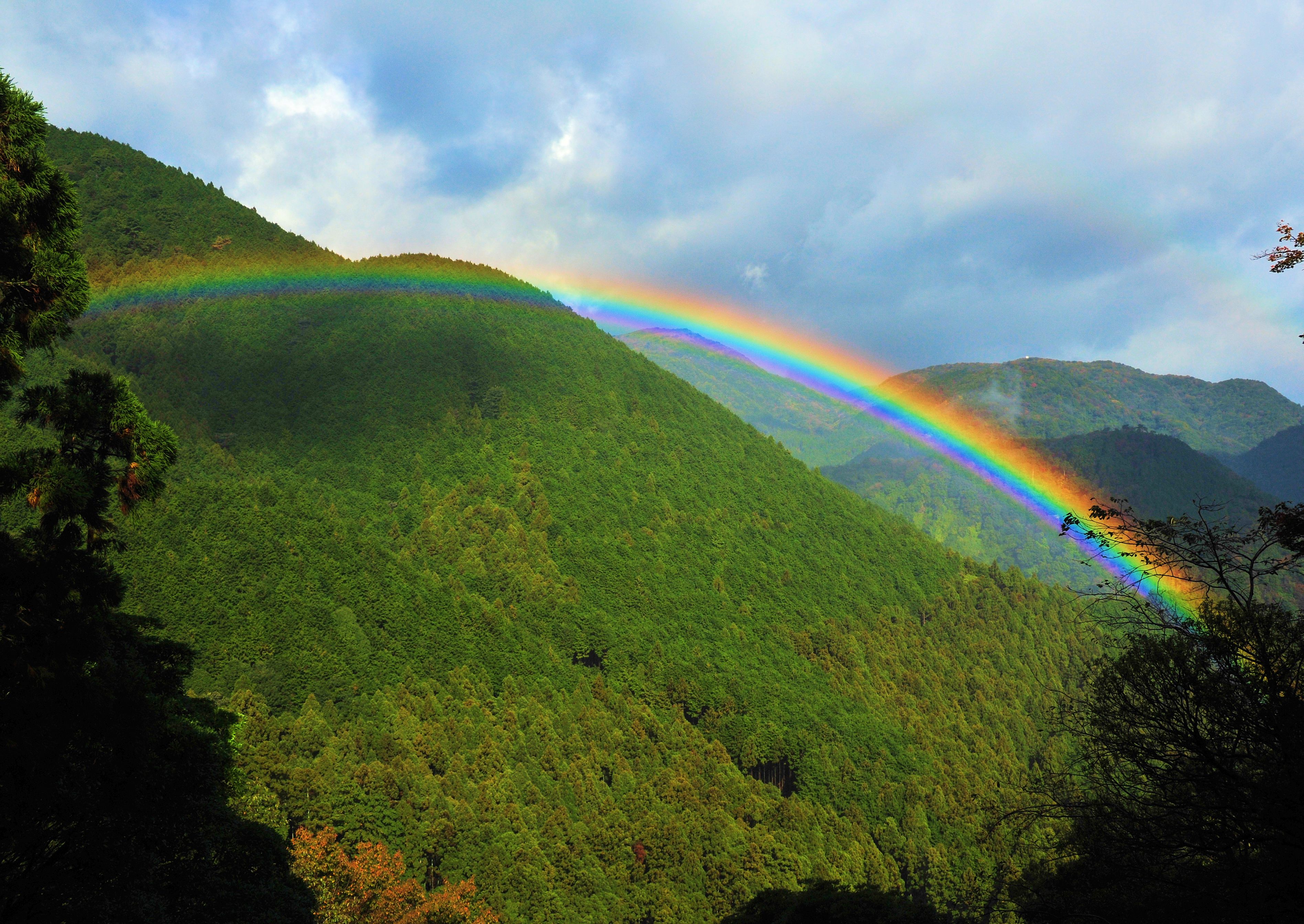 基本構想の画像1