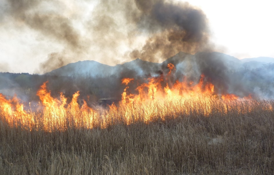 焼却行為に起因する火災にご注意を！の画像