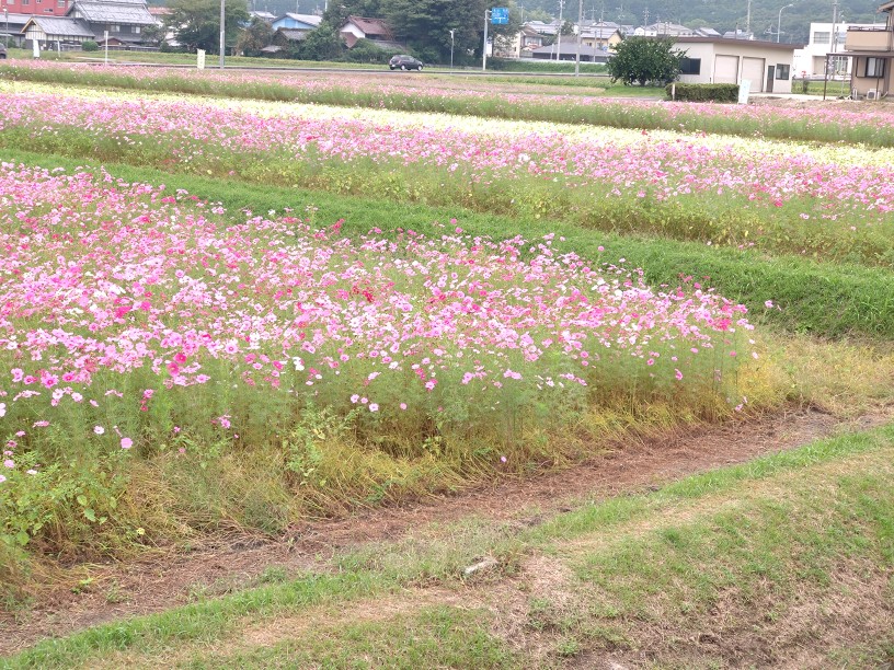田光地内の画像1