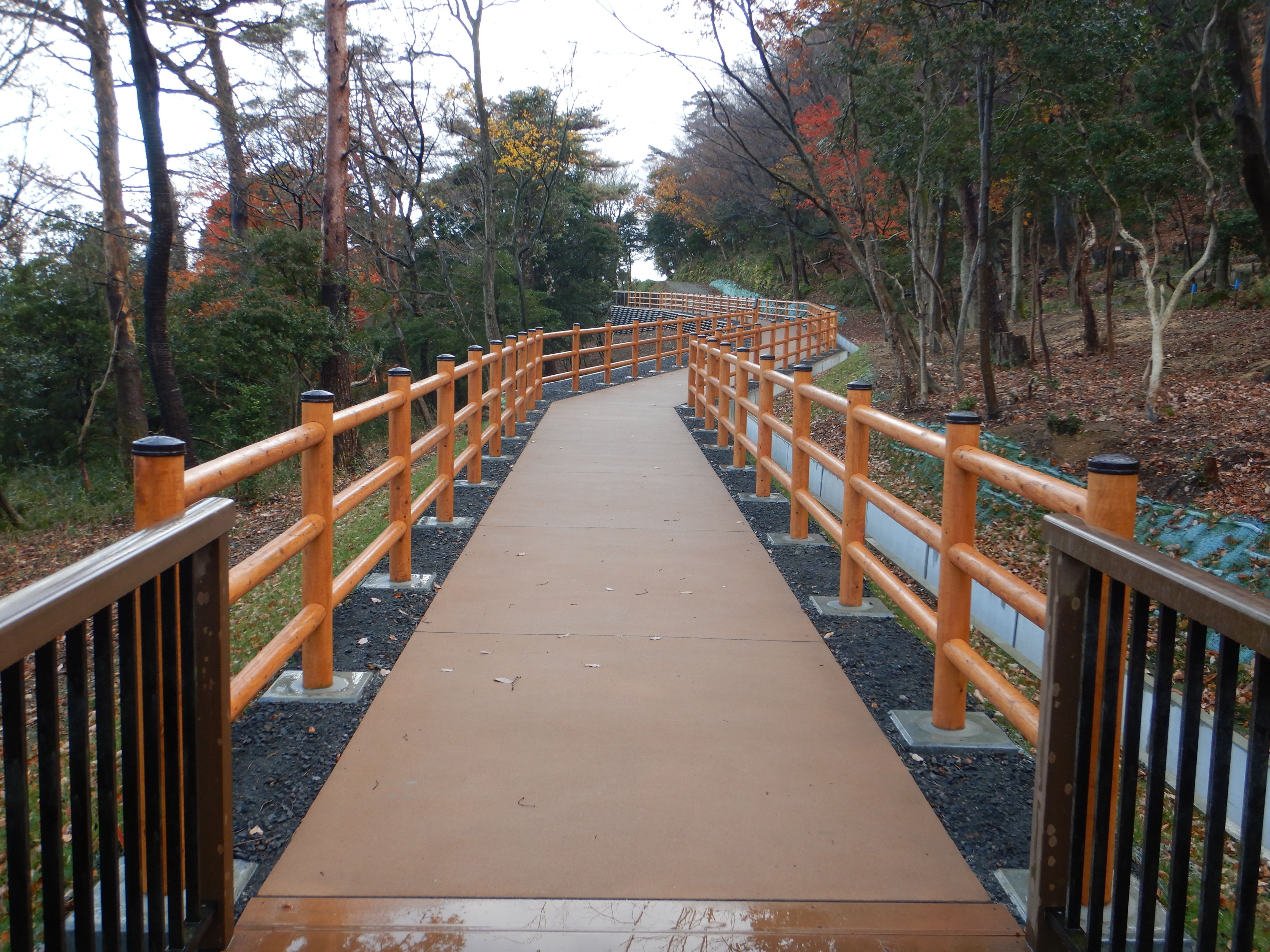 バリアフリー遊歩道の画像