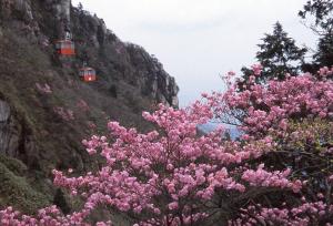 湯の山温泉04