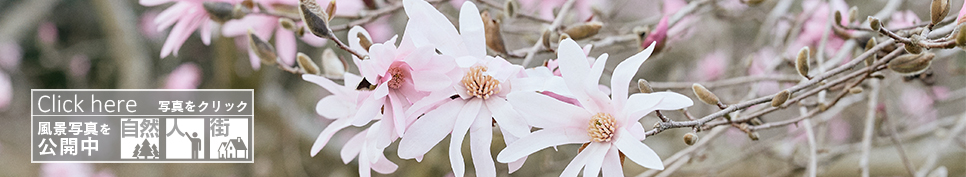 メインビジュアル